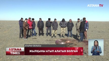 Атырауда ұрылар жылқыларды атып алуды әдетке айналдырған