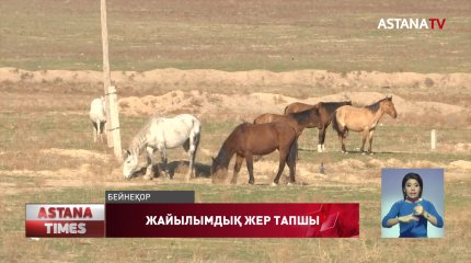 «Жайылымдар туралы» Заң өңірлерде әлі күнге жұмыс істемей келеді, - депутат