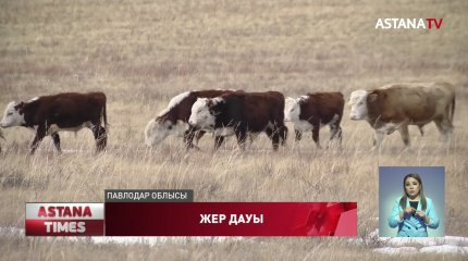 Павлодар облысында шаруа қожалығы мемлекеттің қорғауындағы аумақта мал ұстап отыр