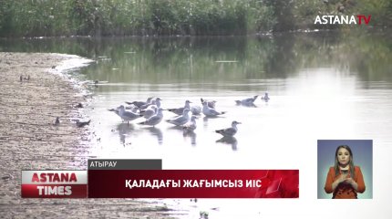 Атыраулықтар таза ауаға зәру
