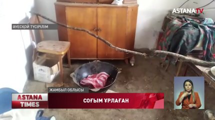 Жамбылда күйеу бала қайын жұртының соғымын ұрлап кеткен