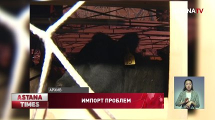 Опасные болезни завезли в Казахстан вместе со скотом
