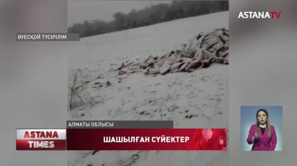 Қарасай ауданында сүйектер шашылып жатыр