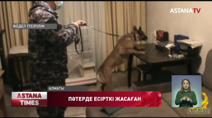 Алматы тұрғыны жалдамалы пәтерде есірткі дайындап келген
