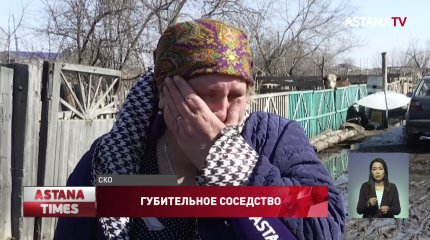 «Живём с крысами и дышим ядом», - сельчане жалуются на соседство с элеватором в Северном Казахстане