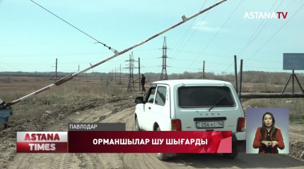 Павлодарда орманшылар орманға өте алмай жүр