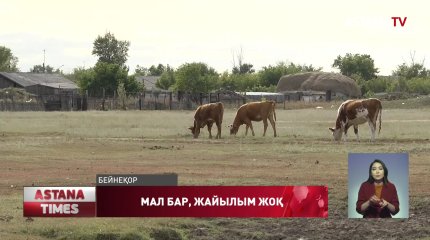 Павлодарда ауыл тұрғындары жайылым жер қалмағанын айтып,  шу көтерді