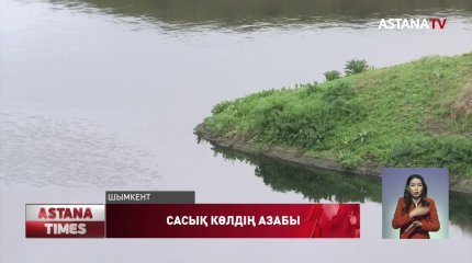 Шымкентте қалдық сулар жиналатын аумақтың тұрғындары тұншығып отыр
