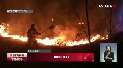 Павлодарда орман арасындағы өрттен ер адамның  мәйіті табылды