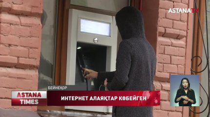 Елде киберқылмыс  көбейіп барады