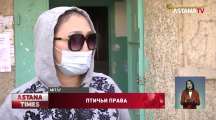 "Жить невозможно": женщина разводит индюшек в квартире в Актау