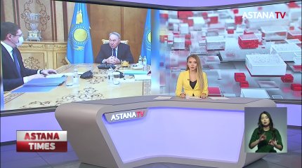 Н. Назарбаев принял Председателя правления Фонда "Самрук Казына"