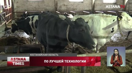 В отдалённом селе Костанайской области открылась современная молочная ферма