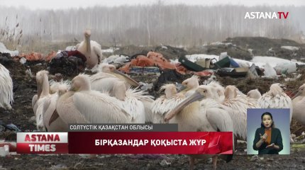 СҚО құзырлылары қоқысты күзетіп жүр