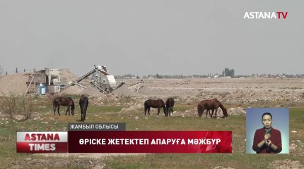 Жамбыл облысының тұрғындары төрт түлігін жайылымға жетектеп апаруға мәжбүр