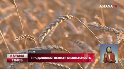 Казахстан теряет свою продовольственную независимость, – сенатор