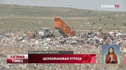 20 гектаров "зеленого пояса" под Темиртау могут погибнуть из-за мусора