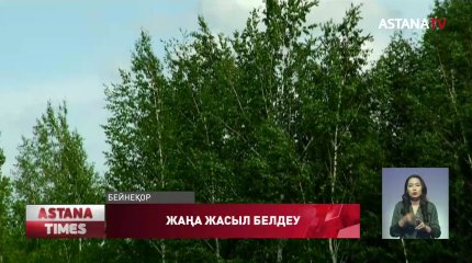 Қарағанды облысына 50 миллион түп ағаш отырғызылады