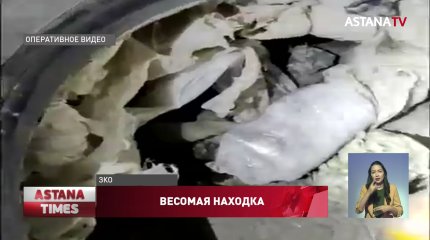 135 килограммов наркотиков пытался провезти кыргызстанец из Казахстана в Россию