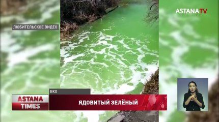 Зелёная река напугала жителей ВКО