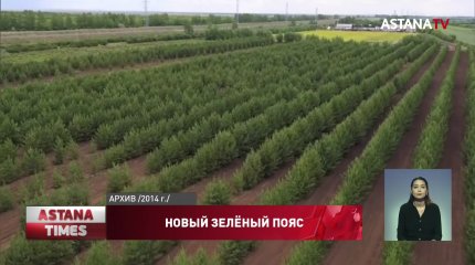 50 миллионов деревьев высадят в Карагандинской области