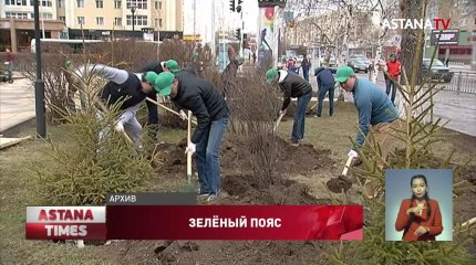Более 80 миллиардов тенге потратят на высадку деревьев в Казахстане