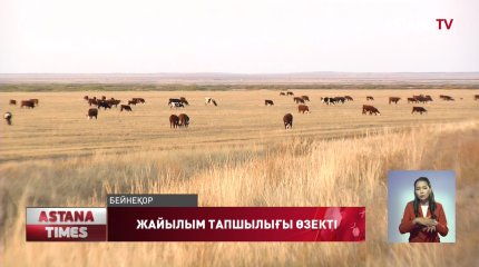 Елді-мекендердің айналасына қосымша жайылымдық жерлер бөлу қажет - "Nur Otan" партиясы