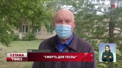 "Смерть для Теслы": разметку поверх ям высмеяли североказахстанцы