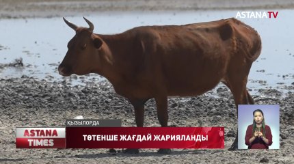 Қызылорда облысы Арал ауданында төтенше жағдай жарияланды