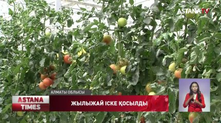 Алматы облысында еліміздегі ең ірі жылыжай кешені ашылды