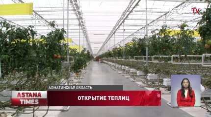 Крупный тепличный комплекс открыли в Алматинской области