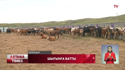 Қазақстандық ет өндірушілер Қытай нарығына өнім экспорттай алмай, шығынға батуда