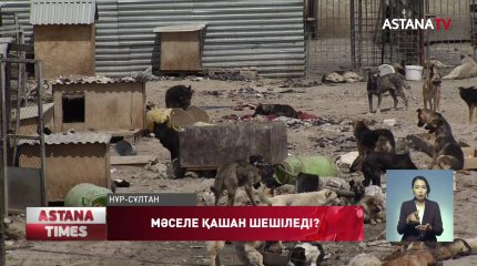 Шулаған ит пен сасық иіс елорда тұрғындарының мазасын қашырды