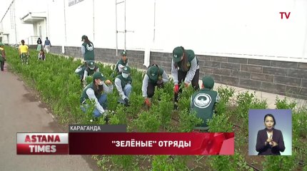 30 тысяч деревьев и кустарников высадят отряды "Жасыл ел" в Караганде