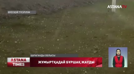 Қарағанды облысында көгершіннің жұмыртқасындай бұршақ жауды