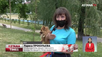 Медведь разоряет окрестности Серебрянска в Восточном Казахстане