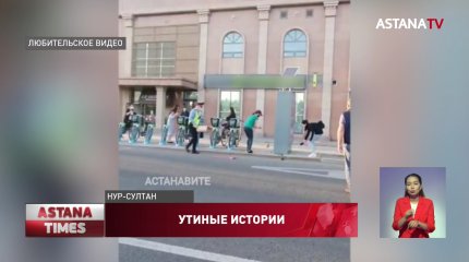 Операцию по спасению утят провели столичные полицейские