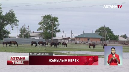 Ақмола облысы Қорғалжын ауданының тұрғындары мал жаятын жер жоқ деп дабыл қағуда