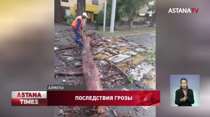 Гроза в Алматы: повреждены 16 авто