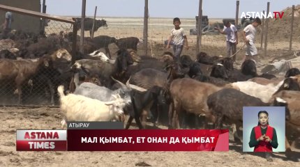 Мал бағасы әлі де қымбаттайды