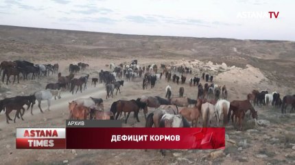 Минсельхоз не может вмешиваться в ситуацию с дефицитом кормов, - Е.Карашукеев