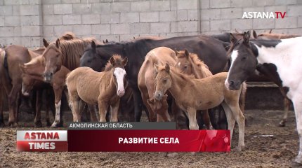 Развитие агропромышленного комплекса в Акмолинской области