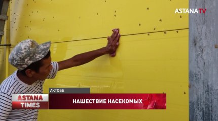 Без урожая может остаться Актюбинская область