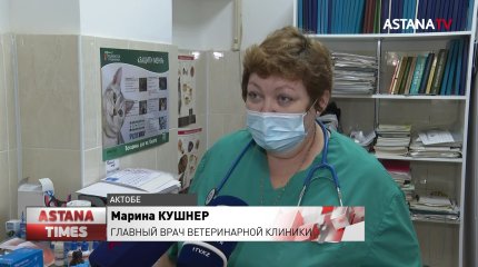 Актюбинцы лечат коронавирус ветеринарными препаратами