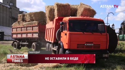 Павлодарские аграрии отправили 250 тонн сена в Мангистаускую область