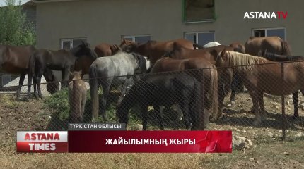 Түркістан облысында мал жаятын жерлер демалыс орындарына айналып кеткен
