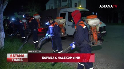 В столице на 90% процентов снизилось количество комаров и мошек