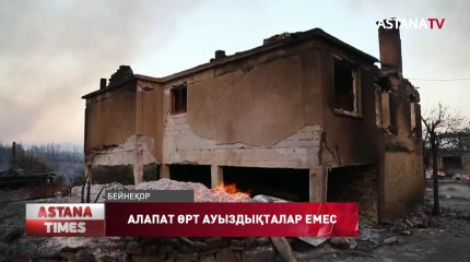 Түркиядағы орман өрті жылу электр орталығына жетті