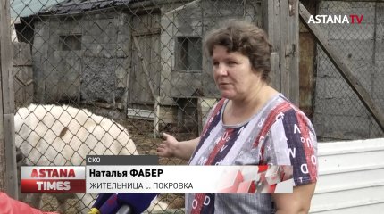 В Северном Казахстане резко выросли цены на сено: сельчане вырезают скот