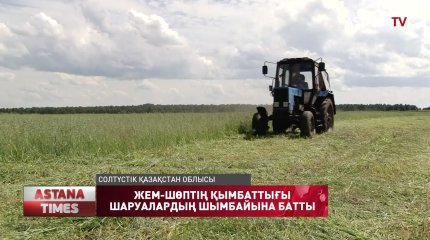 Қызылжарда жем-шөптің бағасы шарықтап тұр